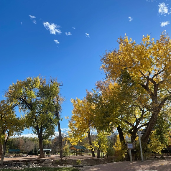 Meet your Posher, Anna - Picture 1 of 1